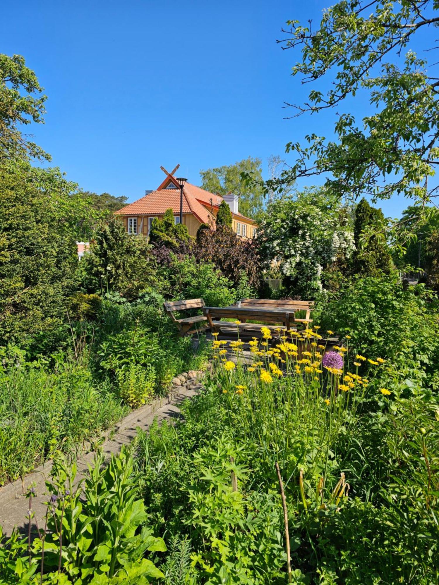 Nidos Rojus Appartement Buitenkant foto